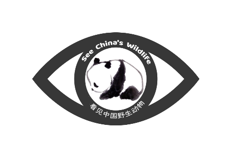 seechinaswildlife